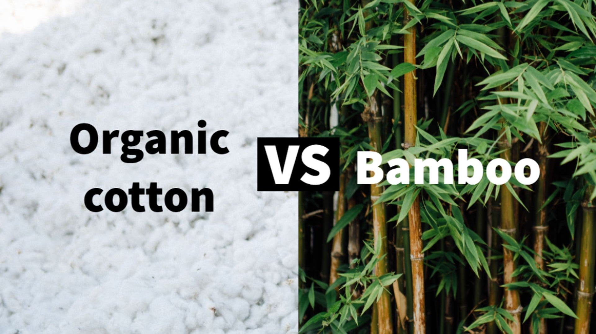 Bamboo vs. Cotton: Which is the Best Fabric for Activewear?