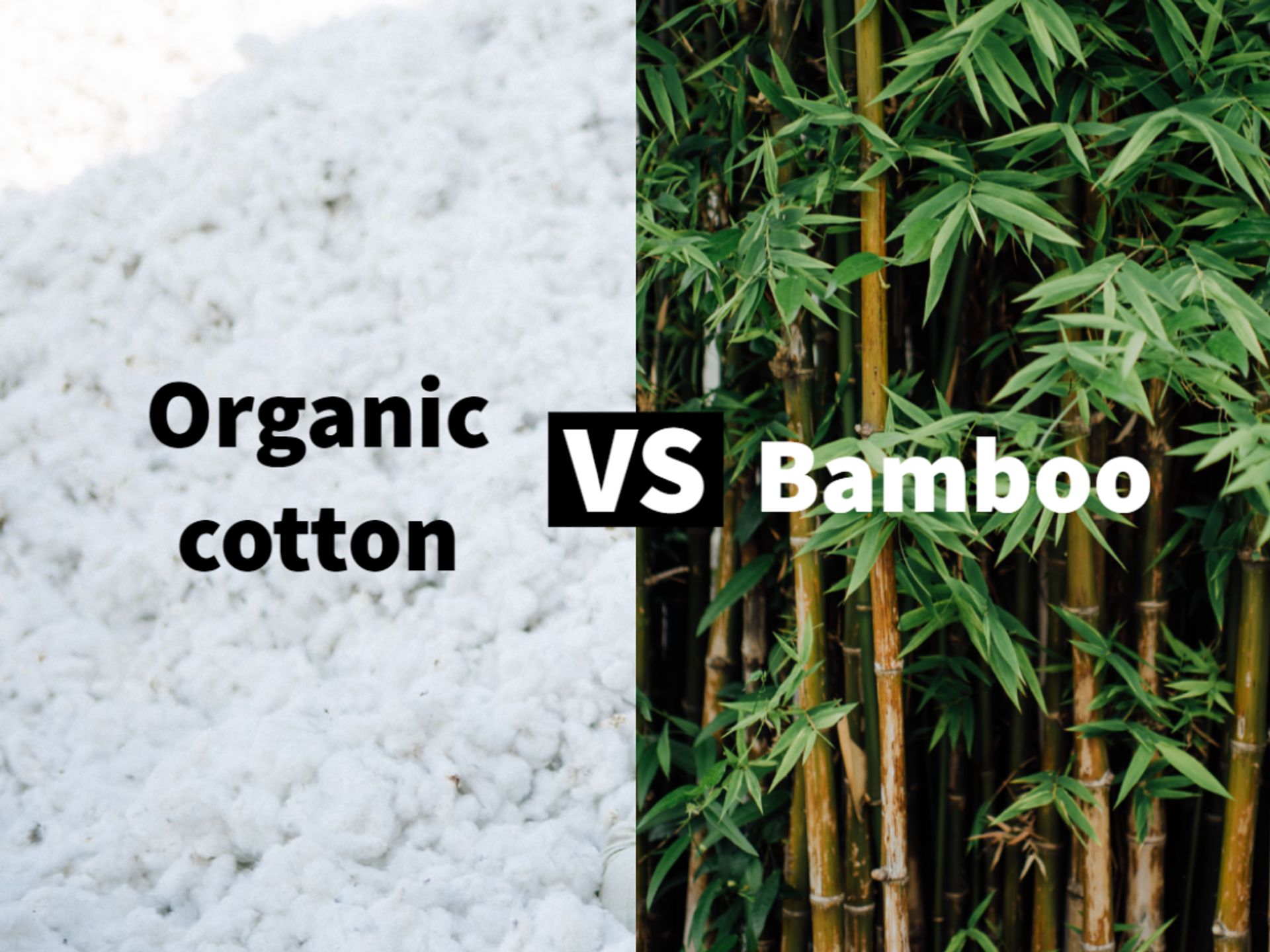 Bamboo vs. Cotton: Which is the Best Fabric for Activewear?